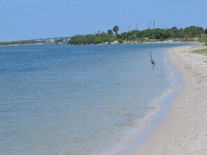 On the beach, sun loungers, beach towels