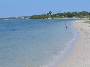 pristine beaches