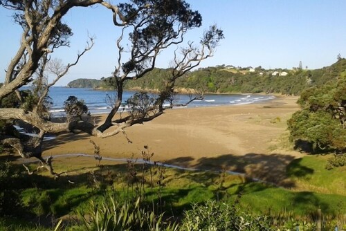SANDY BAY - Sublime plage