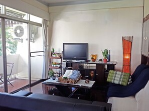 TV