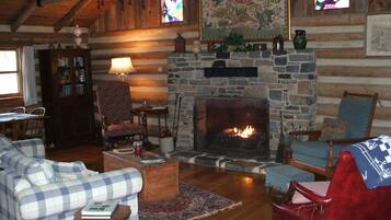 Télévision, cheminée, lecteur de DVD, livres