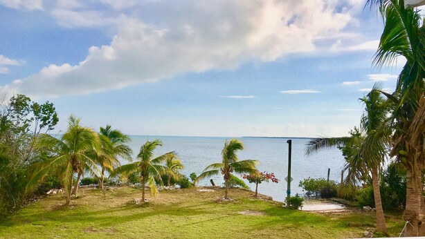 A grassy area with palm trees and a view of the sea. - Cudjoe Cottages, swimming pool, just 20 miles from Key West (Cudjoe Key)