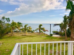 A grassy area with palm trees and a view of the sea. - Cudjoe Cottages, swimming pool, just 20 miles from Key West (Cudjoe Key)