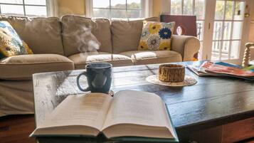 TV, lareira, brinquedos, livros