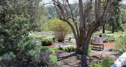 Wonderfully Unique Riverfront Cottage very close to Crater Lake National Park