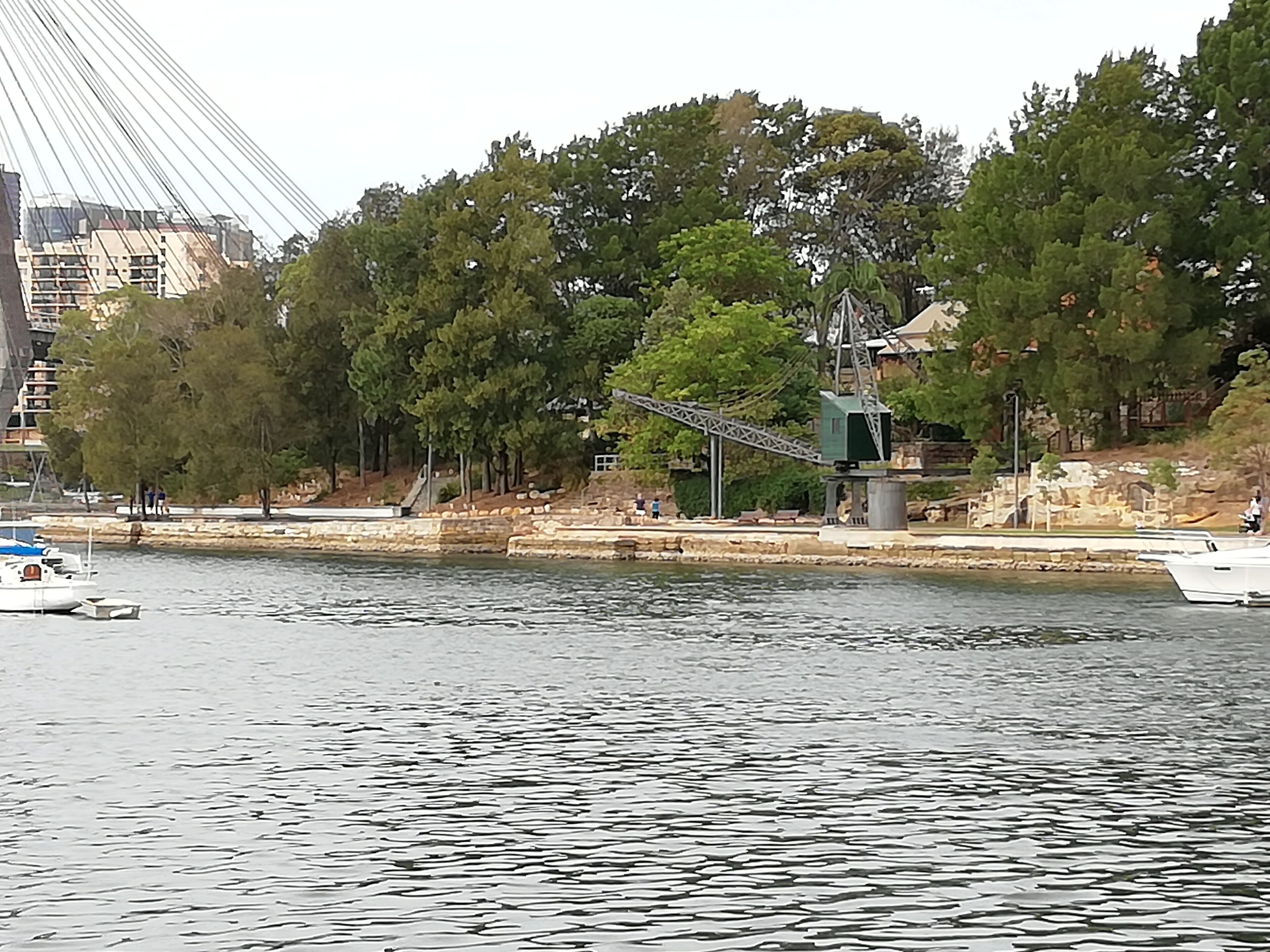 Blackwattle Bay Apartment — image 24