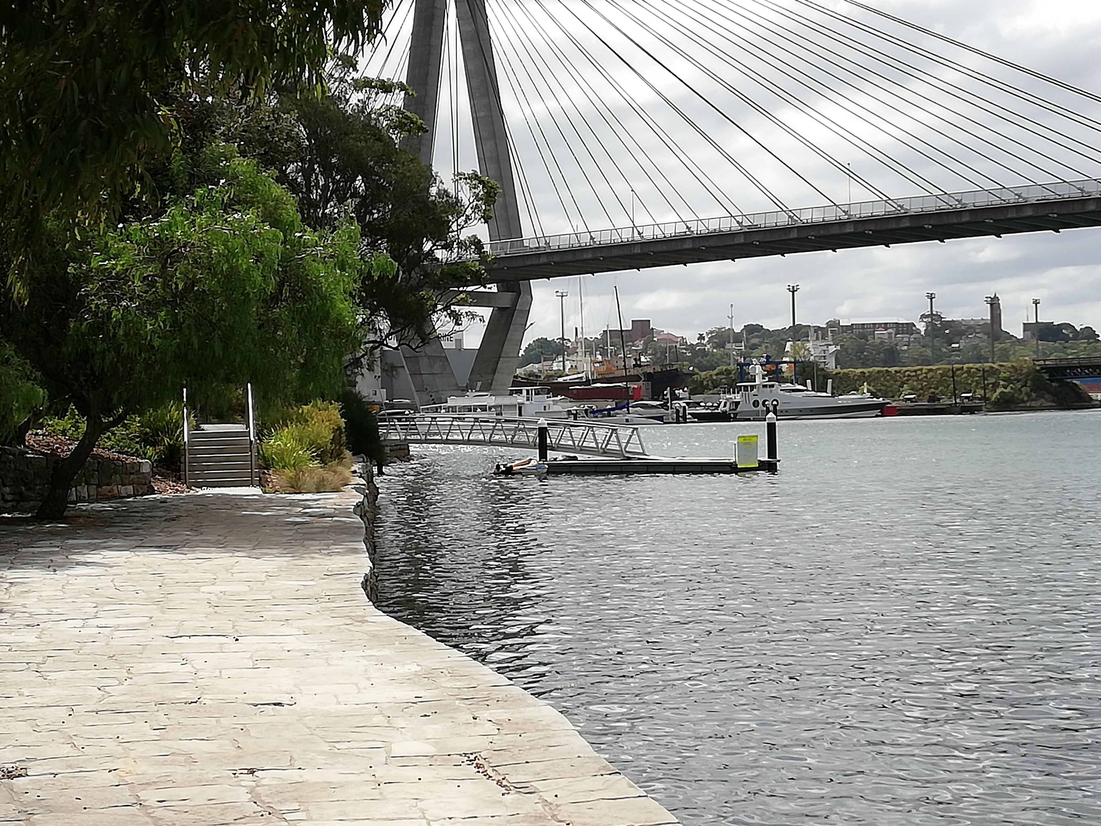 Blackwattle Bay Apartment — image 3
