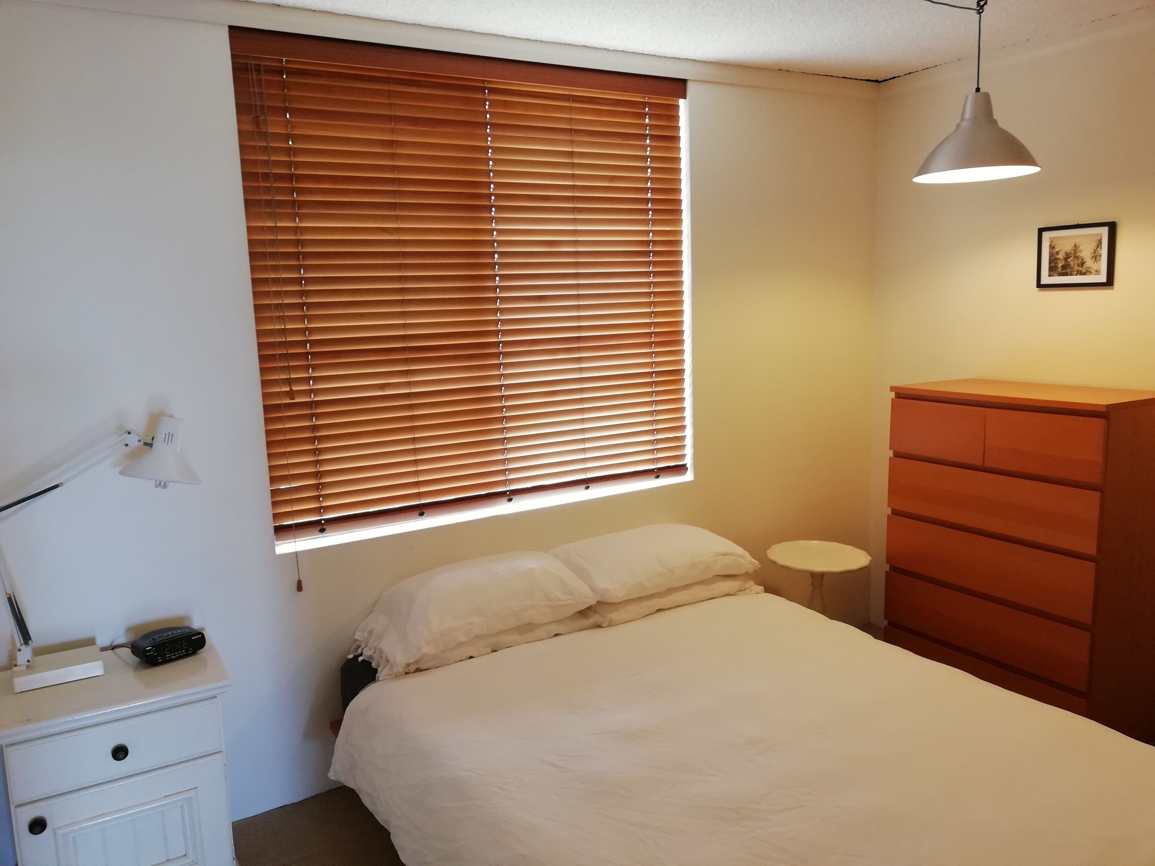 Blackwattle Bay Apartment — image 15