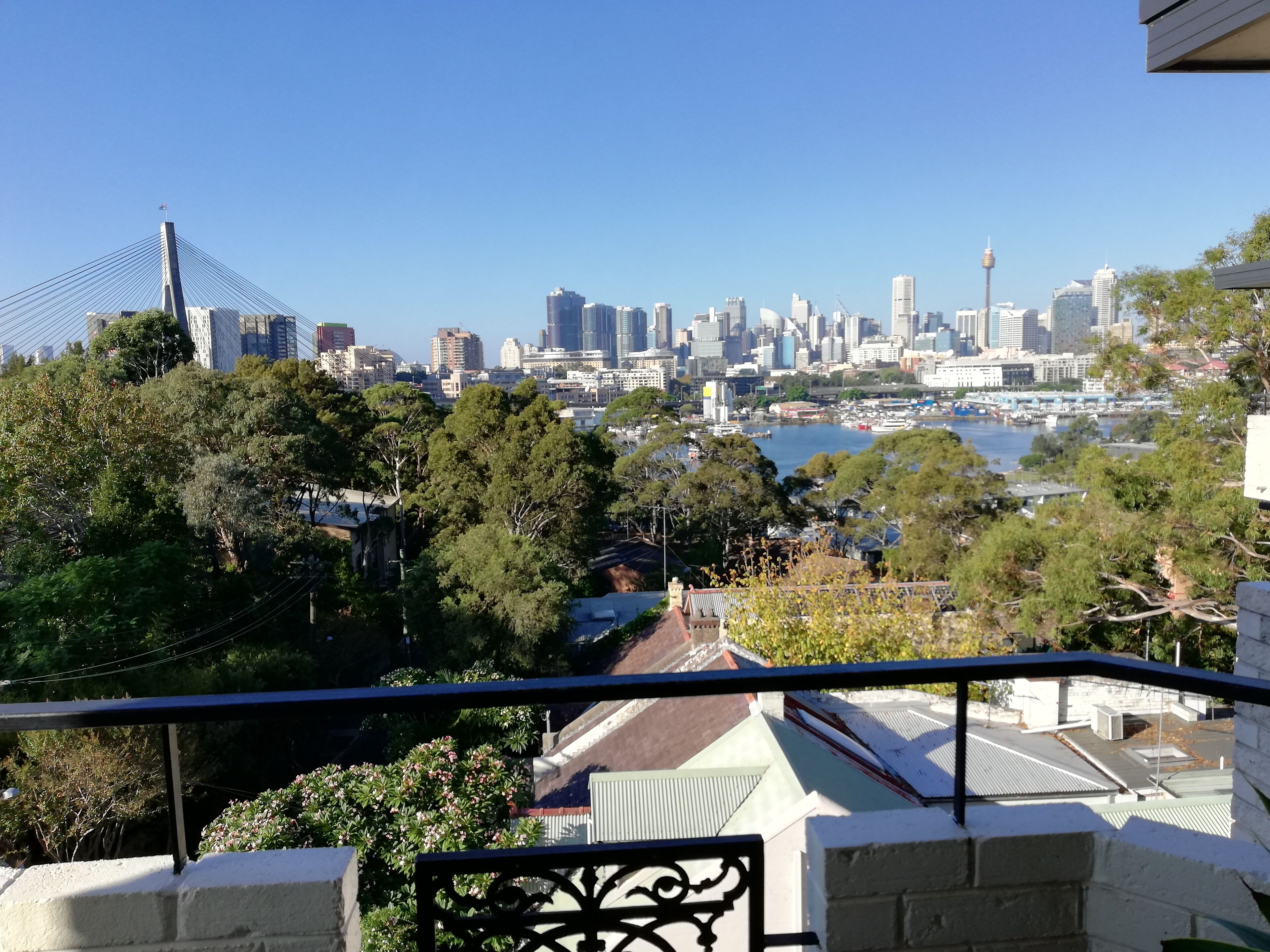 Blackwattle Bay Apartment — image 8