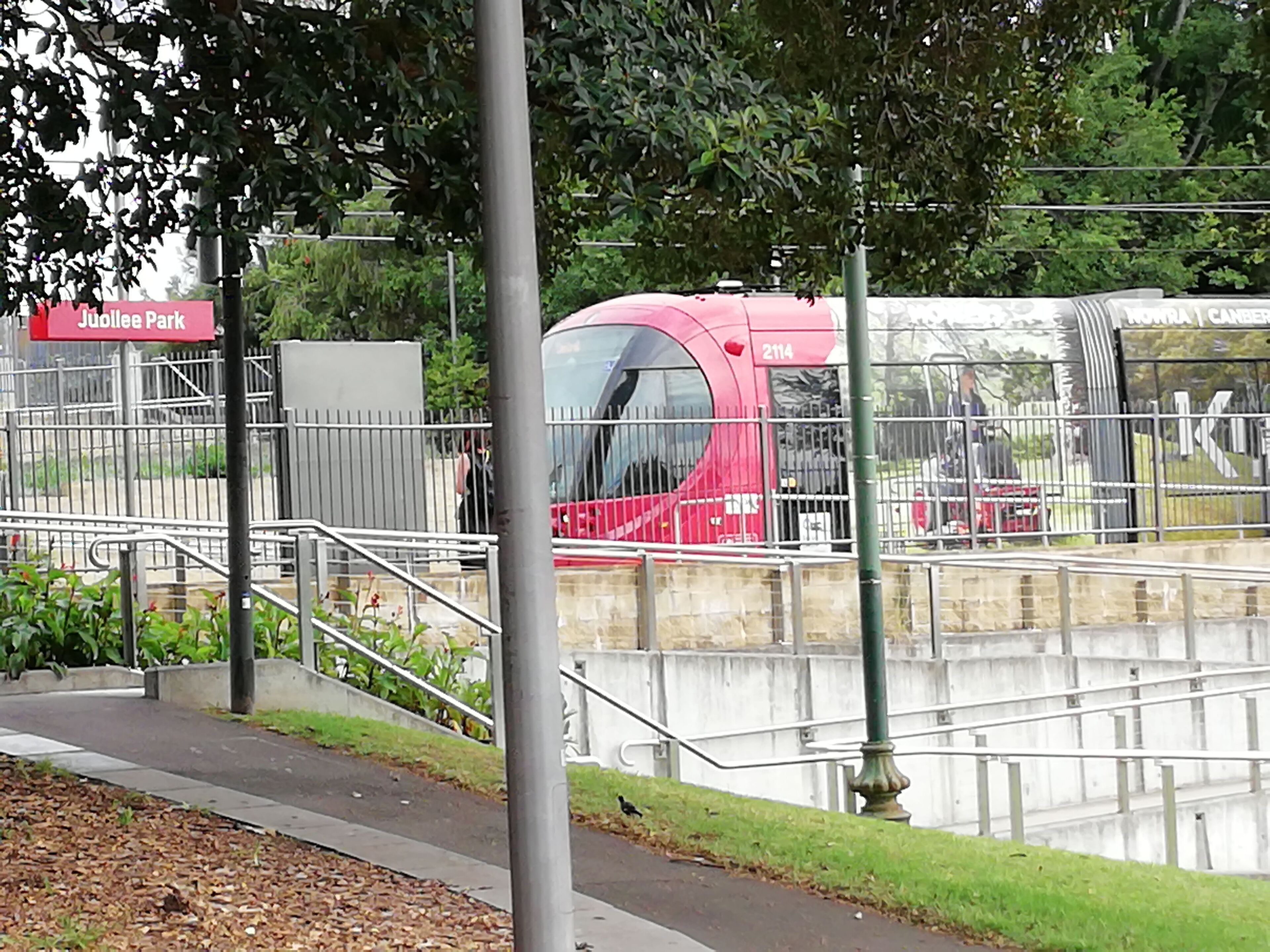 Blackwattle Bay Apartment — image 7