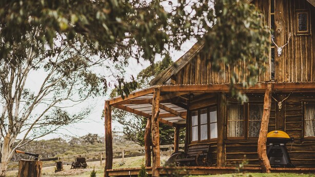 A rustic wooden cabin with a porch, a grill, and a tree in the foreground.