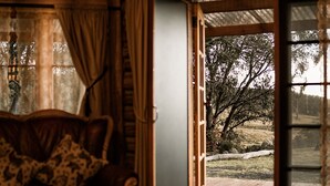 A cozy room with a wooden interior, a sofa with patterned cushions, a table with a vase, and a view of a wooden deck and trees outside.