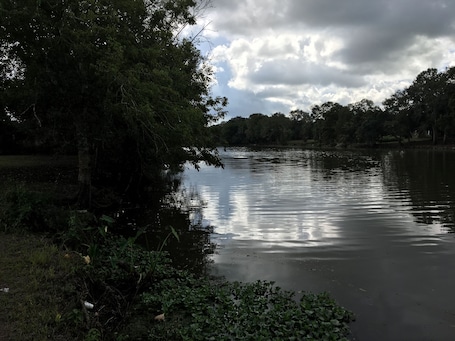 Miscellaneous. Peaceful, Private Cottage on Bayou Teche