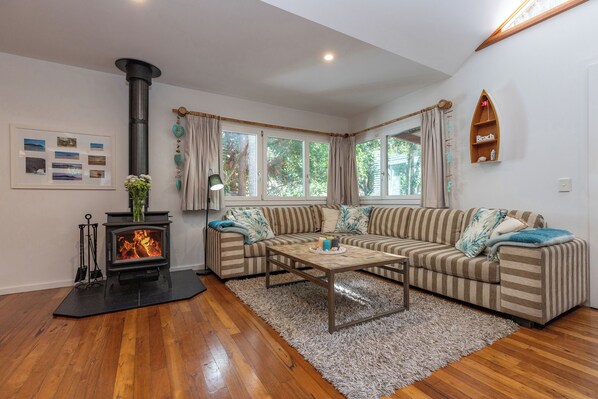 Smart TV, fireplace, DVD player, books