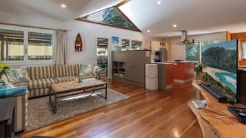 Smart TV, fireplace, DVD player, books