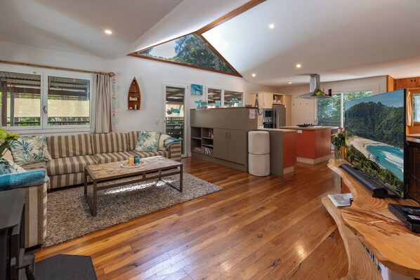 Smart TV, fireplace, DVD player, books