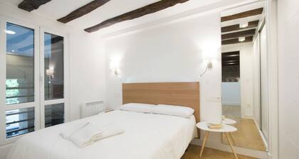 LUXURY IN OLD TOWN NEAR BEACH by SanSebastianApartments