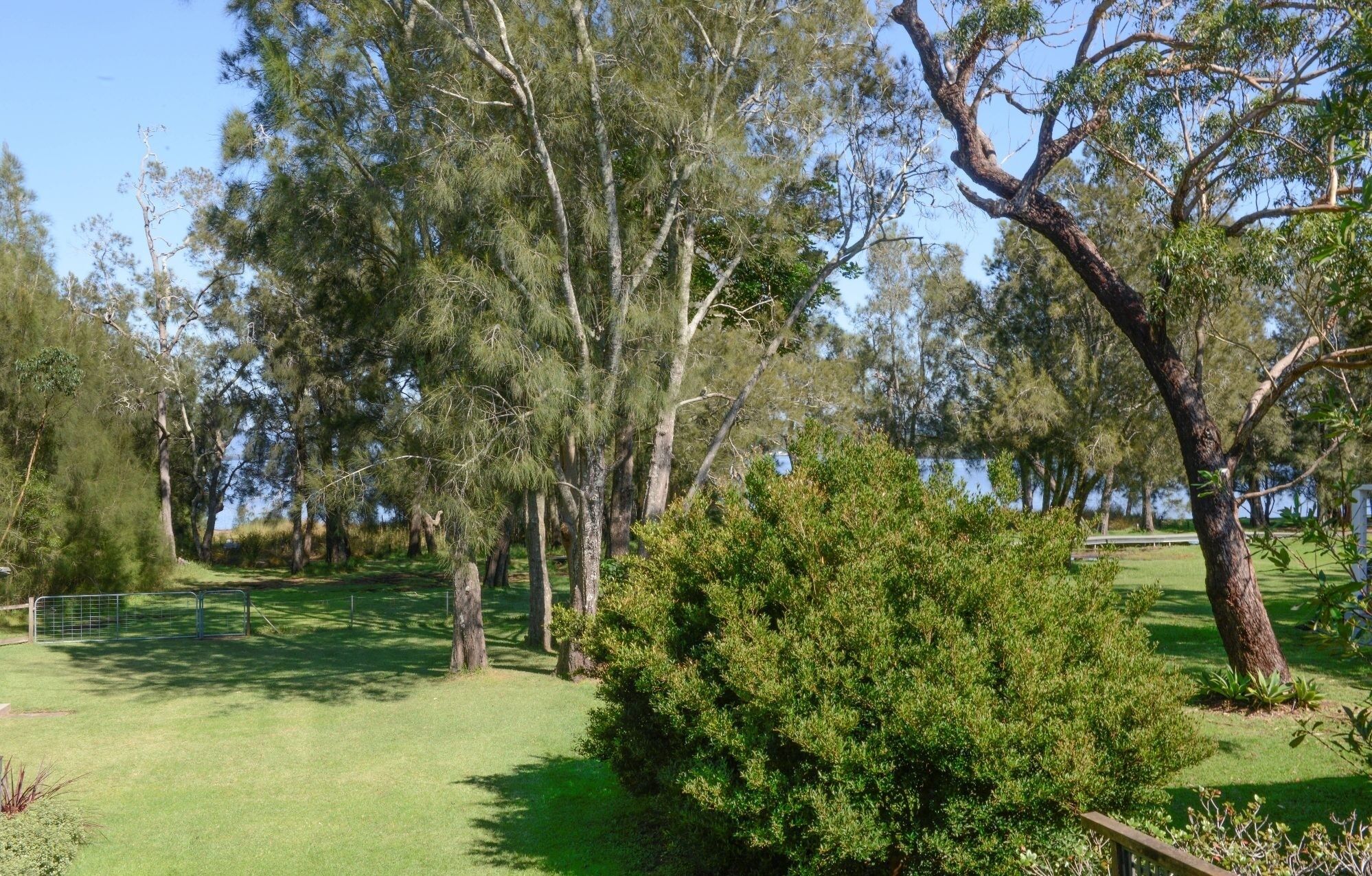 Parco della struttura