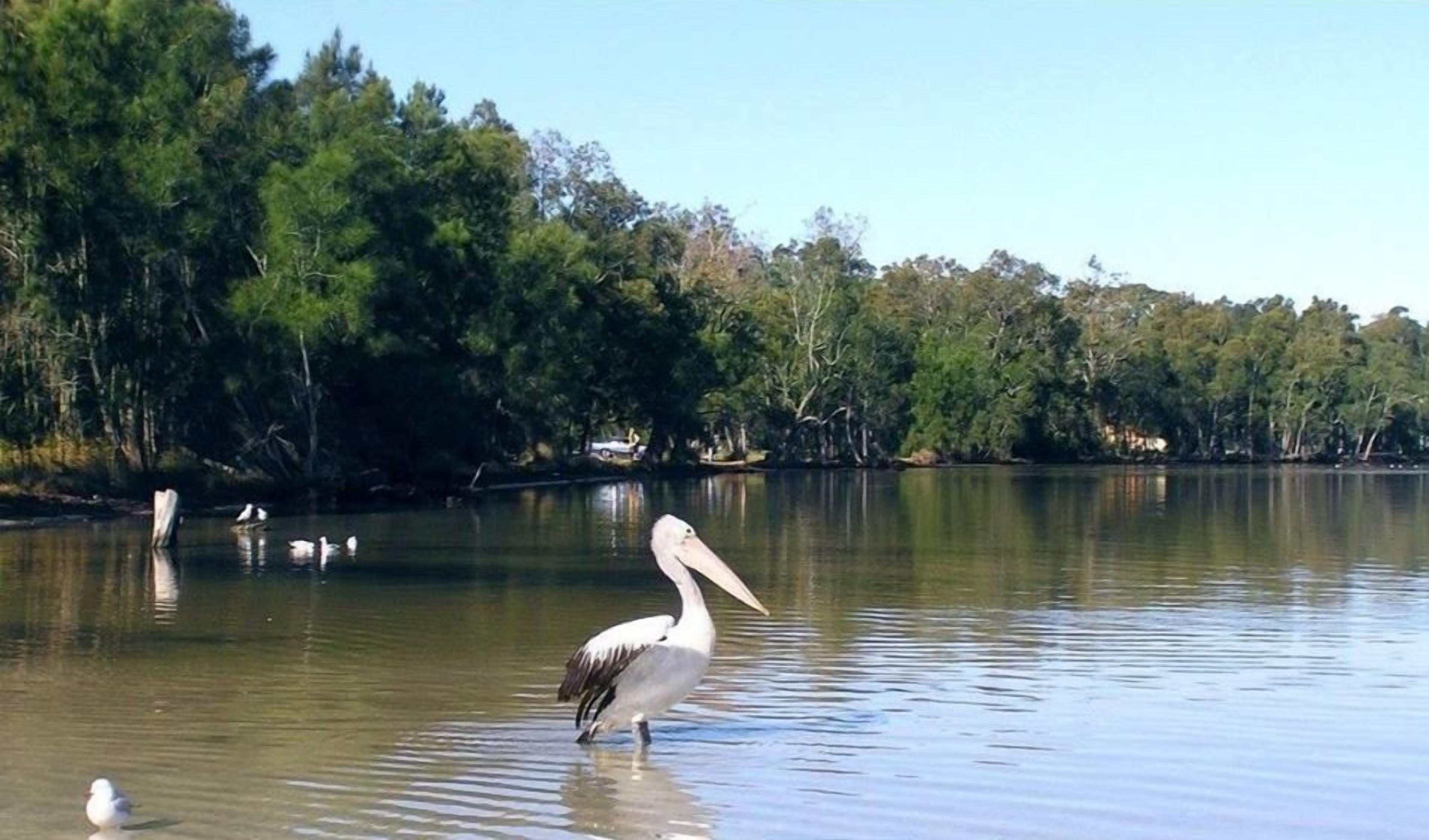 Lac