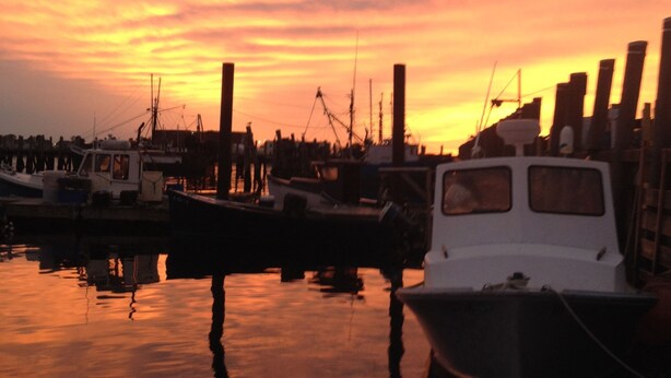 A marina at sunset with boats docked. - Cozy Beach Apartment, private entrance and parking spot . <br> (Middletown)