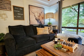 Smart TV, fireplace, DVD player, books