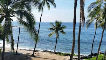On the beach, sun-loungers, beach towels