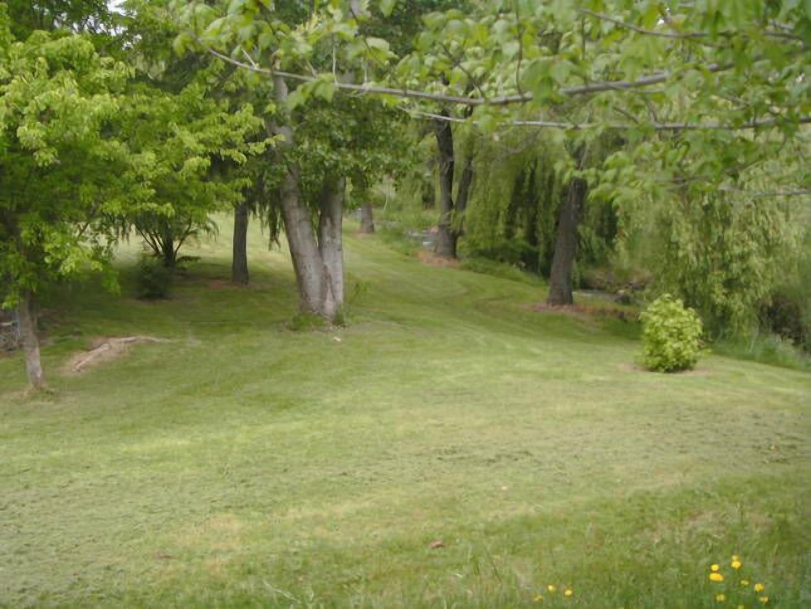 Kinder Cottage Talbingo. — image 17