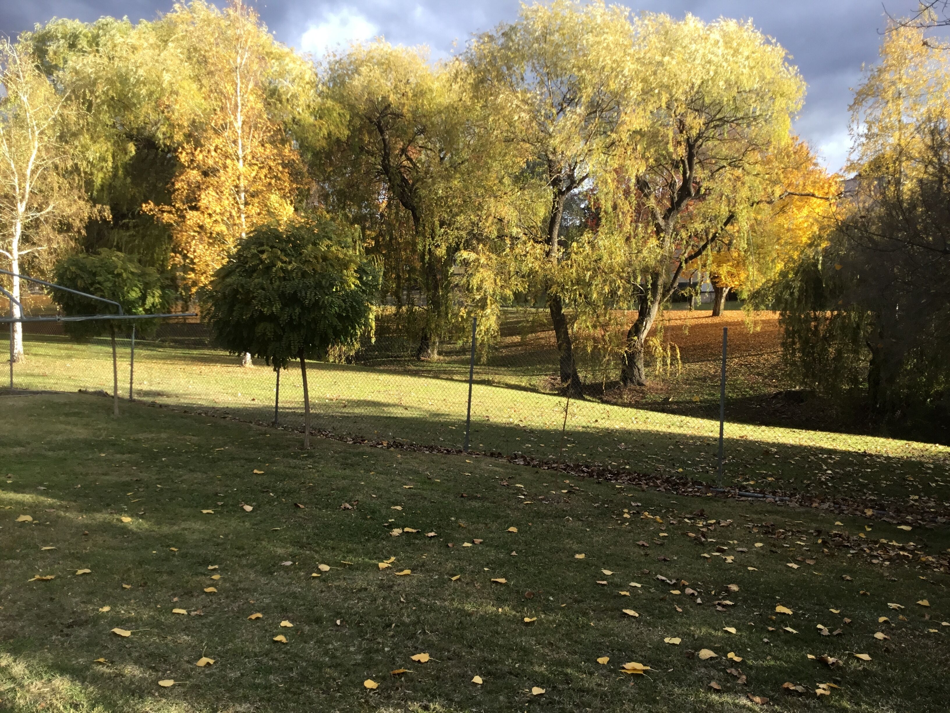 Kinder Cottage Talbingo. — image 19