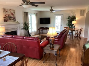 スマートテレビ、暖炉、DVD プレーヤー、書庫