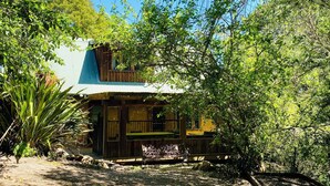 Ein rustikales Holzhaus mit Wellblechdach, umgeben von dichtem Grün und Bäumen.