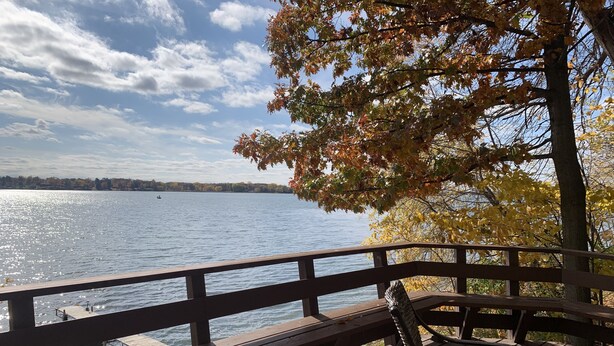 Property grounds - Historic Swedish Cottage on Quiet Lindstrom Lake (Lindstrom)