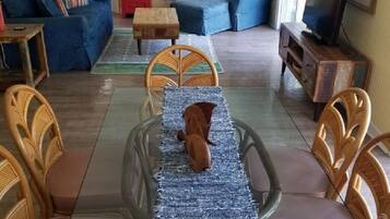 Téléviseur connecté, lecteur de DVD, sélection de films, chaîne audio