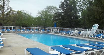 Summer Fun Awaits!