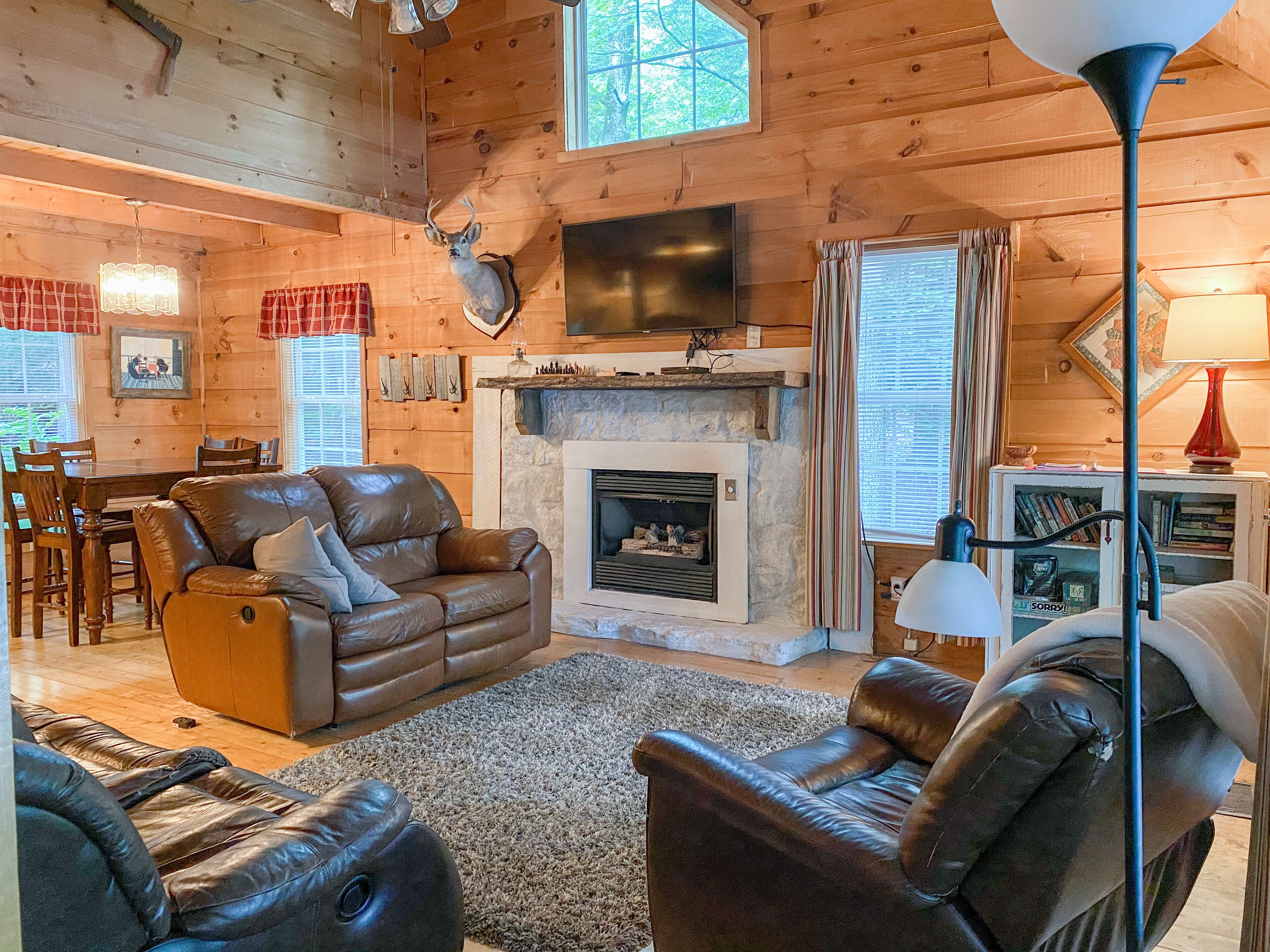 Smart TV, fireplace, DVD player, video library