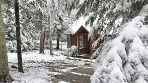 Una cabaña rodeada de árboles cubiertos de nieve.