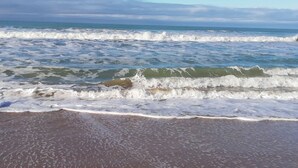 Una playa con olas rompiendo sobre la orilla.