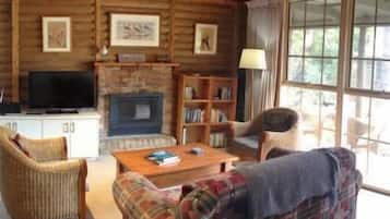 TV, DVD player, books, video library