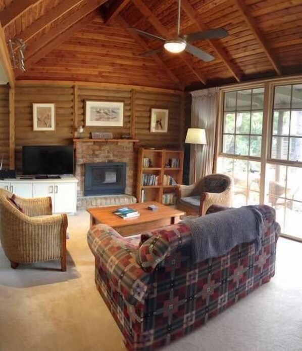 TV, DVD player, books, video library