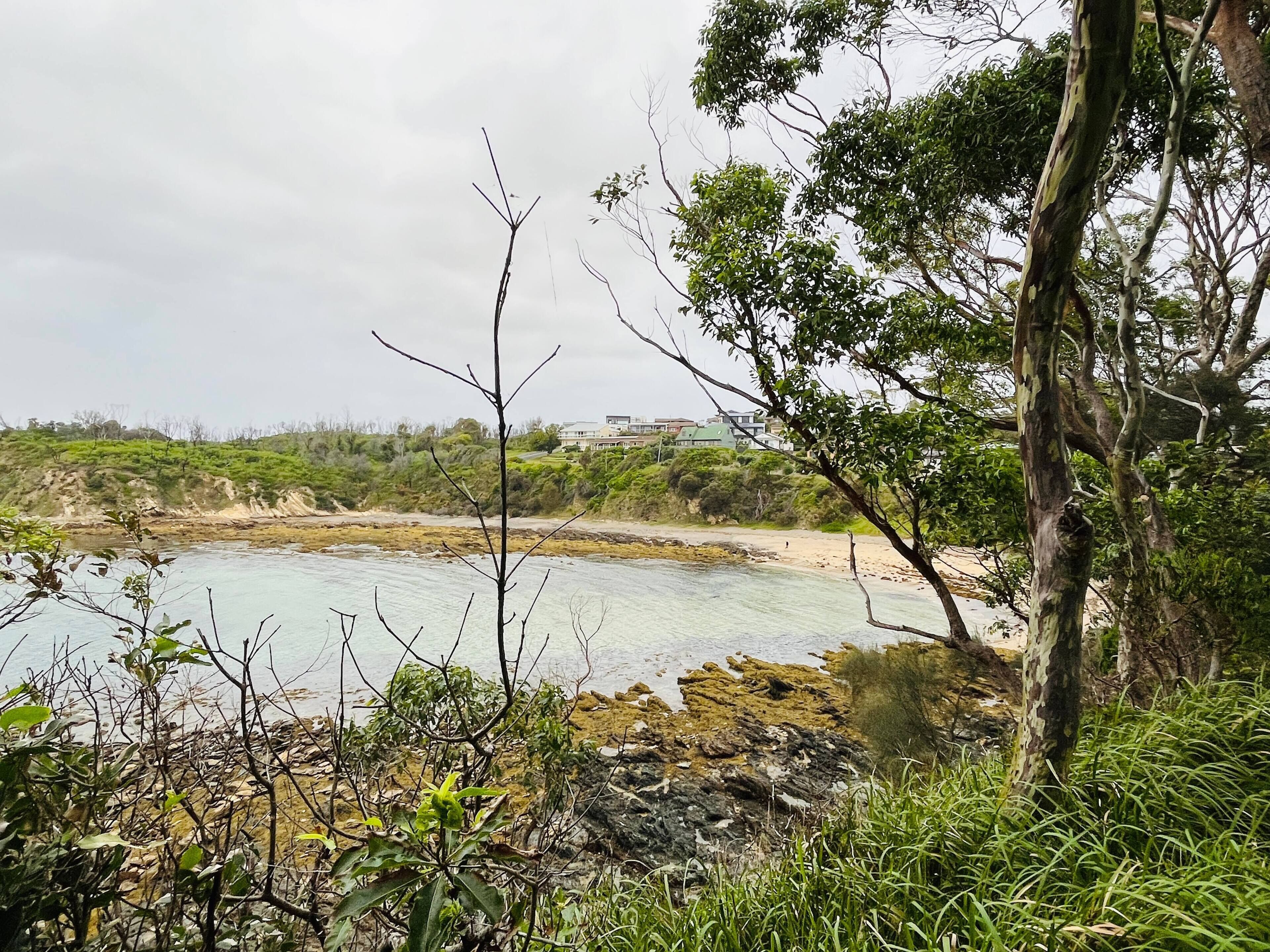 A coastal landscape with rocky shores, greenery, and a building in the background.