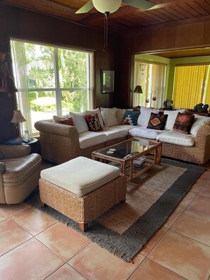 Smart-TV, Kamin, Bücher, Computerbildschirme