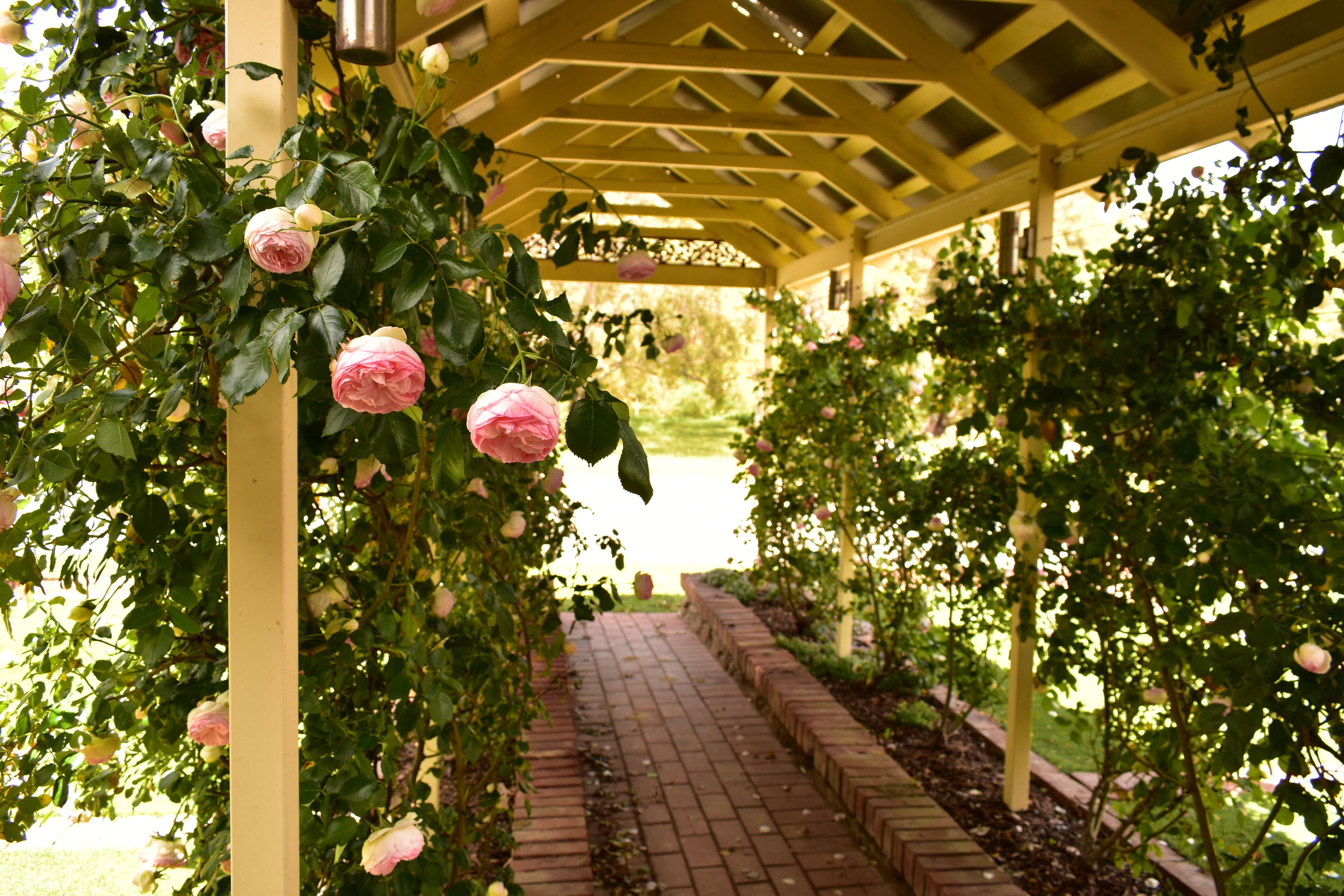 LE JARDIN DE FLEURS COTTAGE — image 22