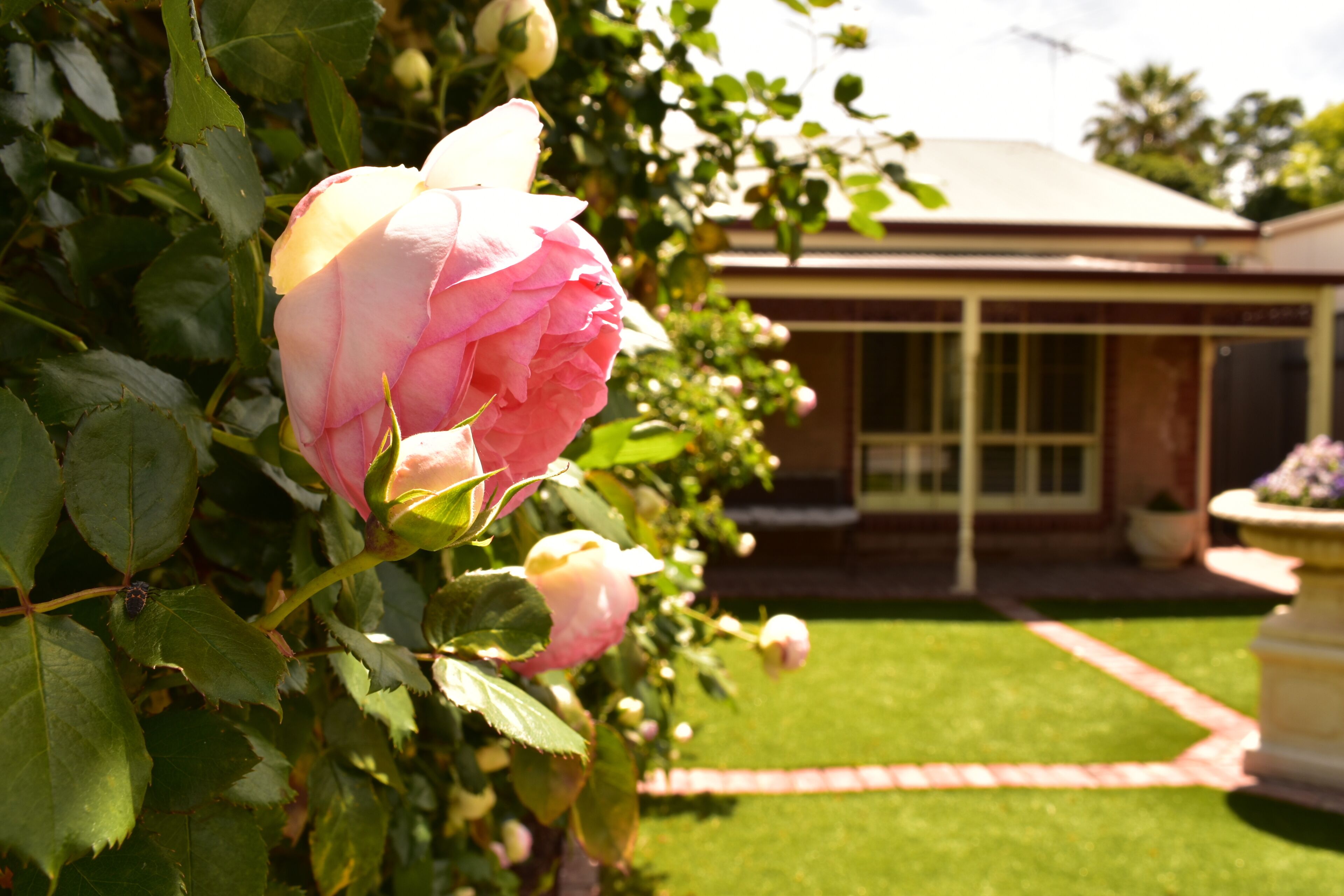 LE JARDIN DE FLEURS COTTAGE — image 19