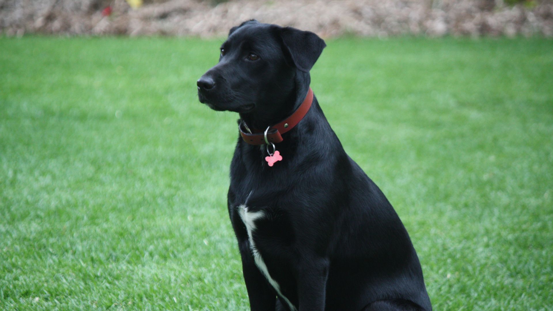 The Miners Cottage Barossa — image 13