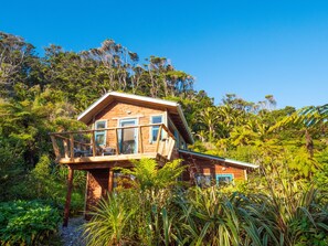 Exterior - Cabbage Tree Cottage - Beautiful home, stunning location. Pet-friendly. (Westport)