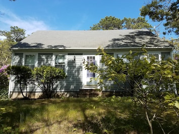 Front View