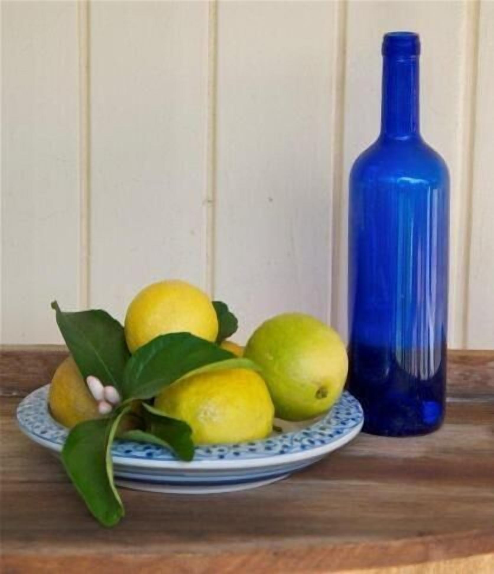 Just a short stroll to the river front & only minutes to the stunning surf beach