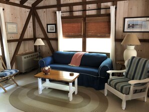 TV, fireplace, DVD player, books