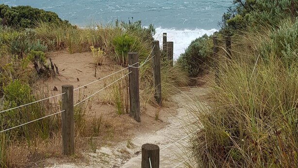 Un sendero costero que lleva al océano, con una cerca de madera y vegetación.
