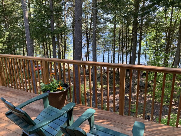 Property grounds - Log home on untouched cold stream lake (Lowell)