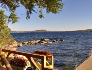 Property grounds - Log home on untouched cold stream lake (Lowell)